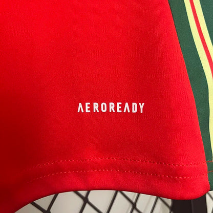 2024-25 Wales Home Fans Soccer Jersey